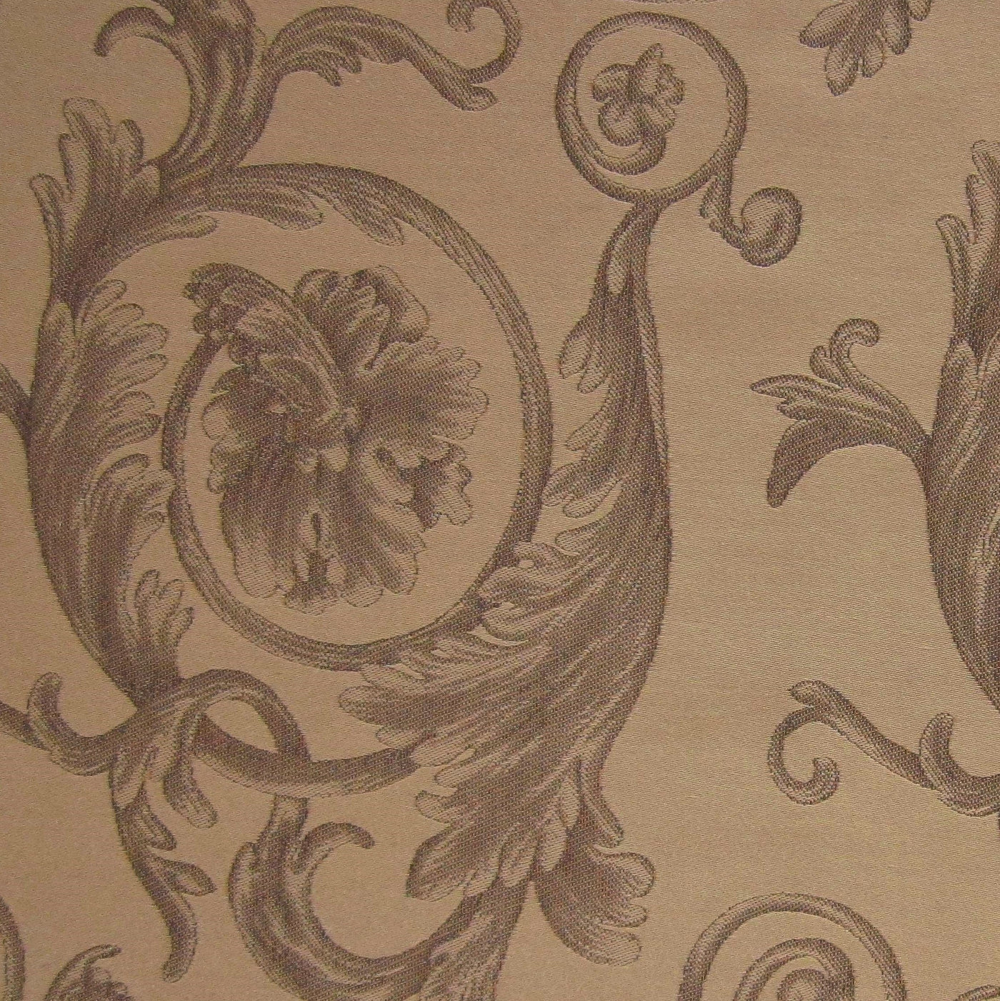 Close-up of Home Treasures Firenze sham in champagne jacquard with baroque scrollwork detail.