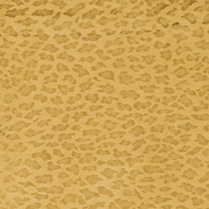 Photo of the Jaguar | Swatch ensemble.