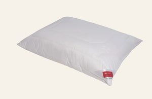 Photo of the Pure Bamboo | Pillow ensemble.