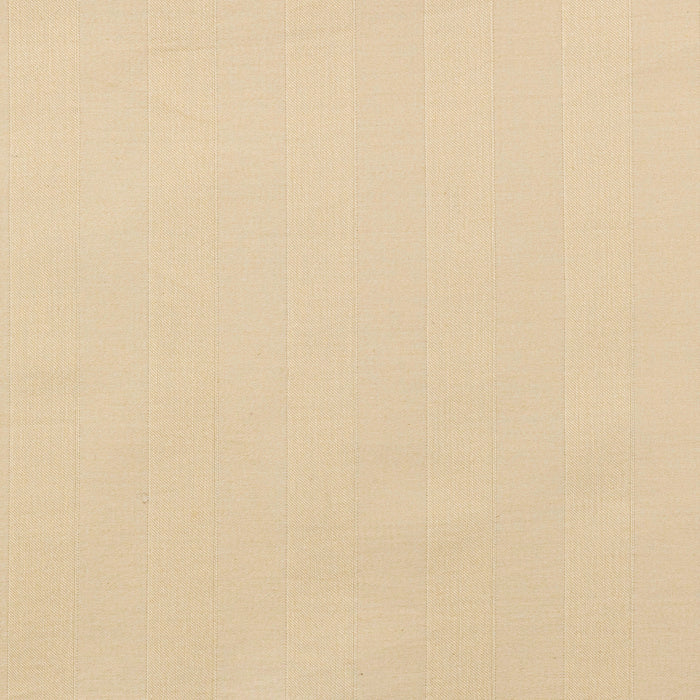 Photo of the Regal | Swatch ensemble.