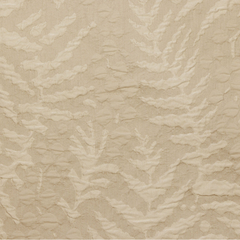 Filice | Coverlet
