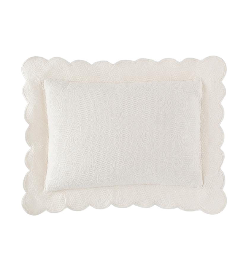 Sferra Alice ivory quilted cotton sham with scalloped border, flat lay.